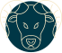 aries icon
