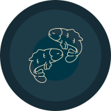 pisces (astrology)