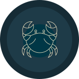 cancer (astrology)